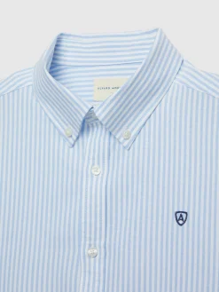 CAMISA OXFORD RAYAS BASIC CELESTE